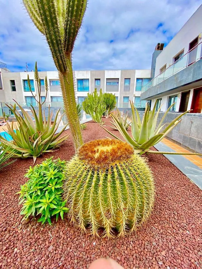 Apartamento Mar de Fuerteventura 2 Corralejo